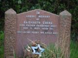 image of grave number 828453